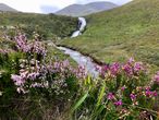 Sligachan Old Bridge, Skye