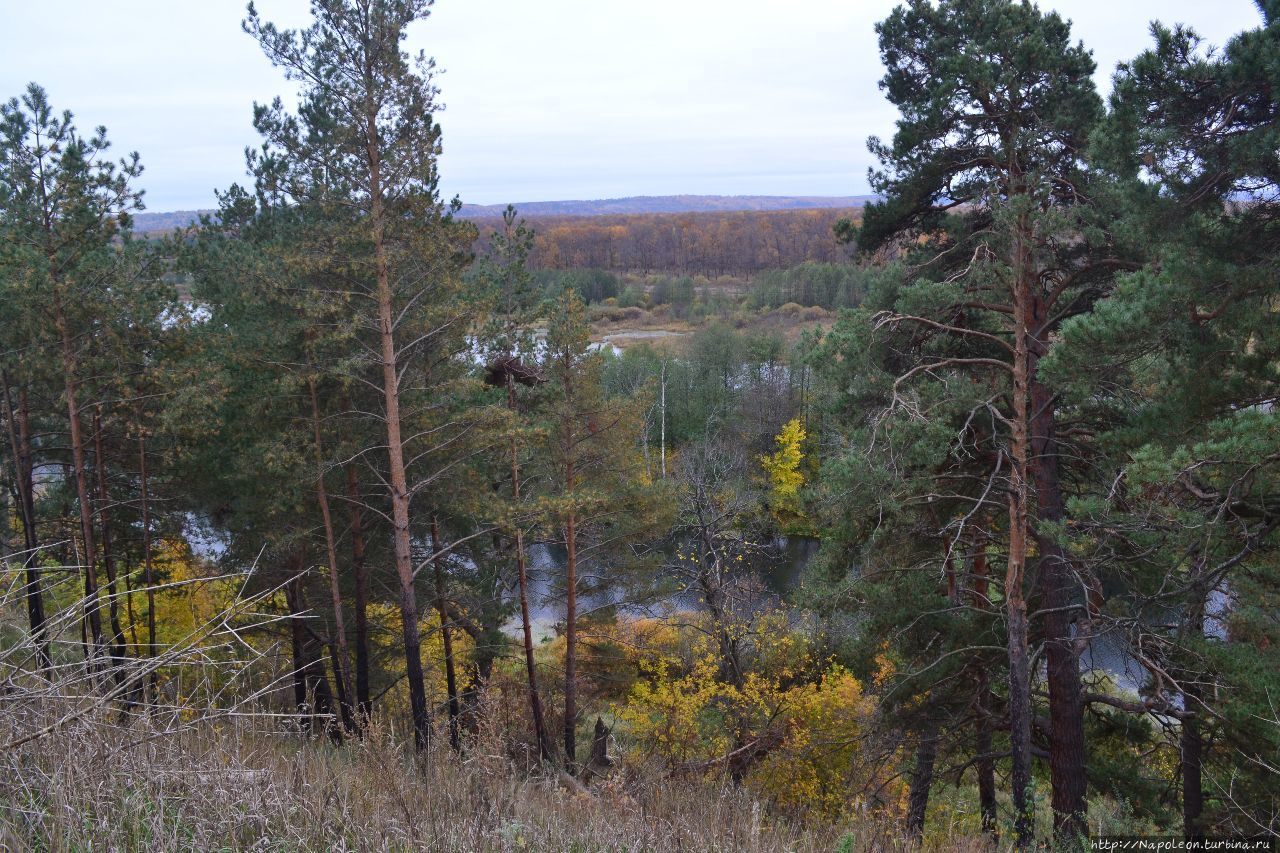 Территория Желнино – Пушкино – Сейма / Territory Zhelnino — Pushkino -Seima