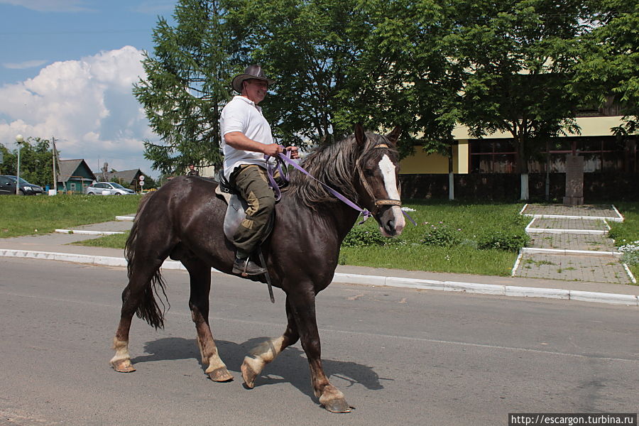 Впрочем, конь мне понравился больше. Тем более, что он даже громко фыркнул — поздоровался когда меня увидел.

— Любит девушек! — сказал хозяин, проезжая мимо.
— Красавец!!! — восхищенно ответила я.
— Кто я? — засмеялся 