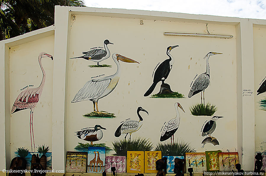 Орнитологический парк Джудж Орнитологический заповедник Джудж, Сенегал