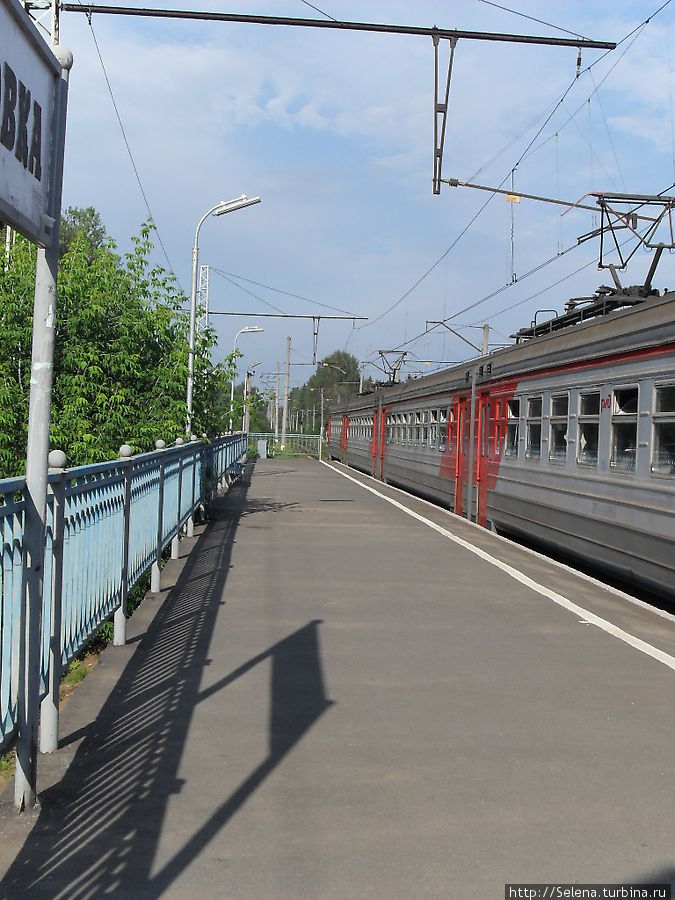 В  поисках  усадьбы Всеволожск, Россия