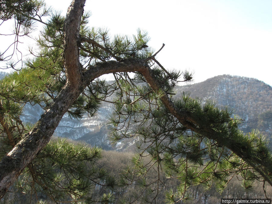 Водопады источника Ай-Йори Алушта, Россия