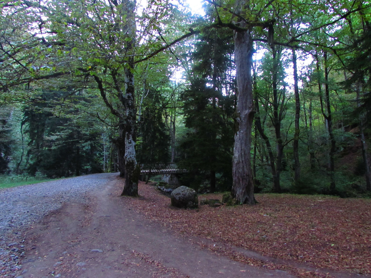 Дорога к серному источнику по парку Боржоми Боржоми, Грузия