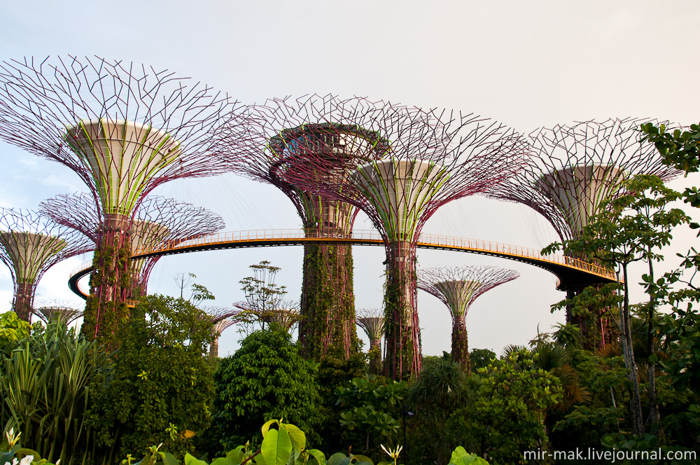 Деревья из стали?! – В Сингапуре и не такое возможно! Сингапур (город-государство)