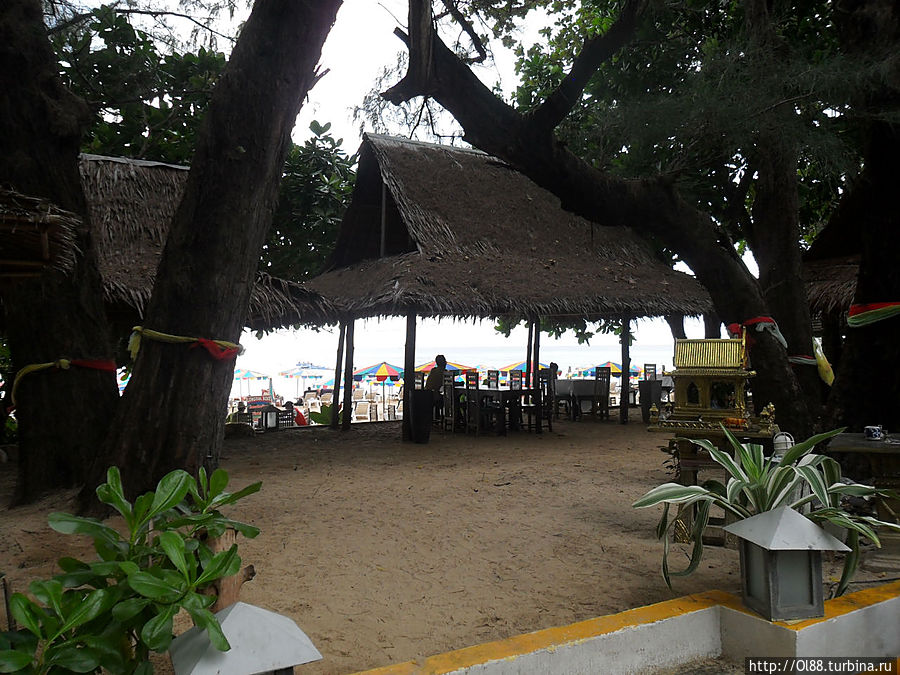 Кафе на Сурине (одно из...)