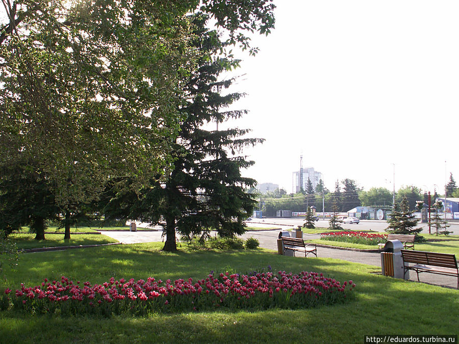 На дне рождения родного города. Красноярск. Красноярск, Россия