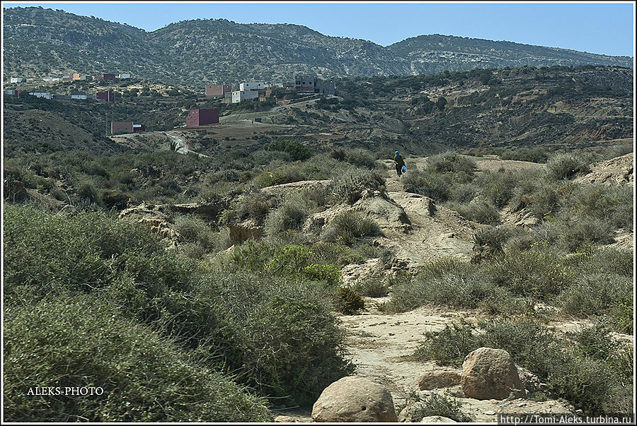 То здесь, то там мелькают местные жители — берберы...
*