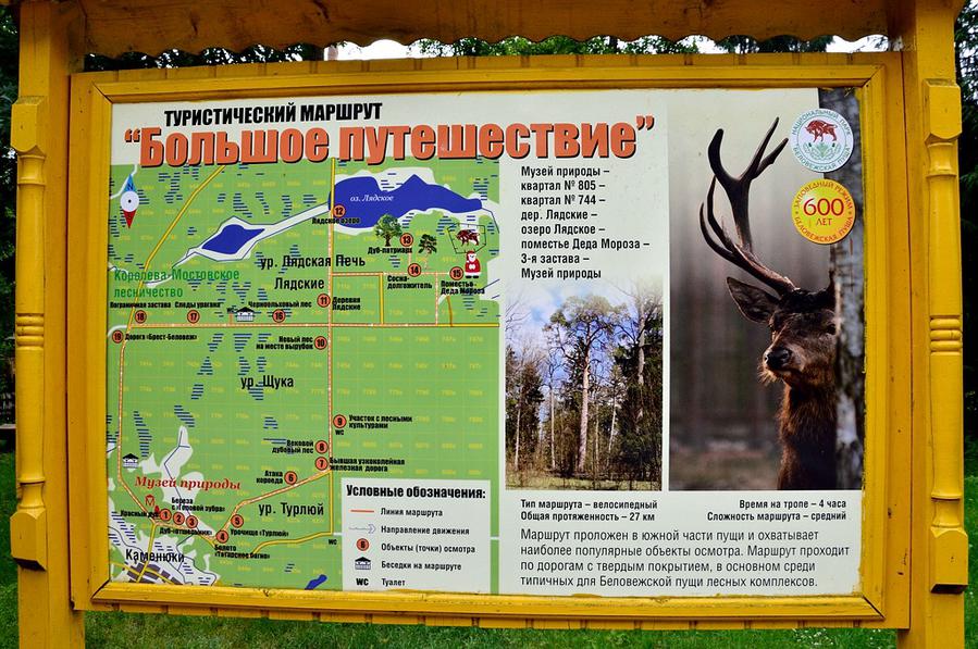 Маршрут Большое путешествие. Ну, это для тех, кто в Белоруссию на месяц приехал, а не для нас :) Беловежская Пуща Национальный Парк, Беларусь