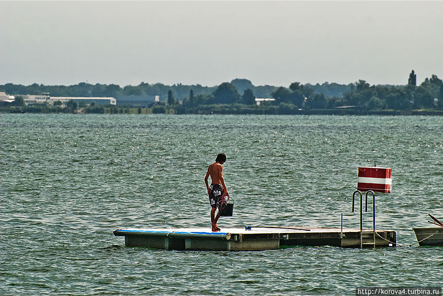 Вид на местного жителя Озеро Бодензее, Германия