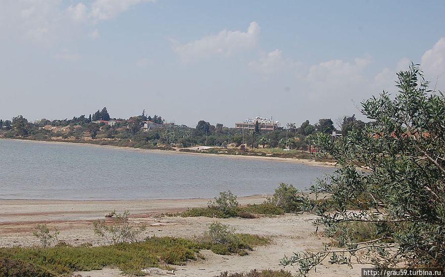 Соляное озеро Ларнака, Кипр