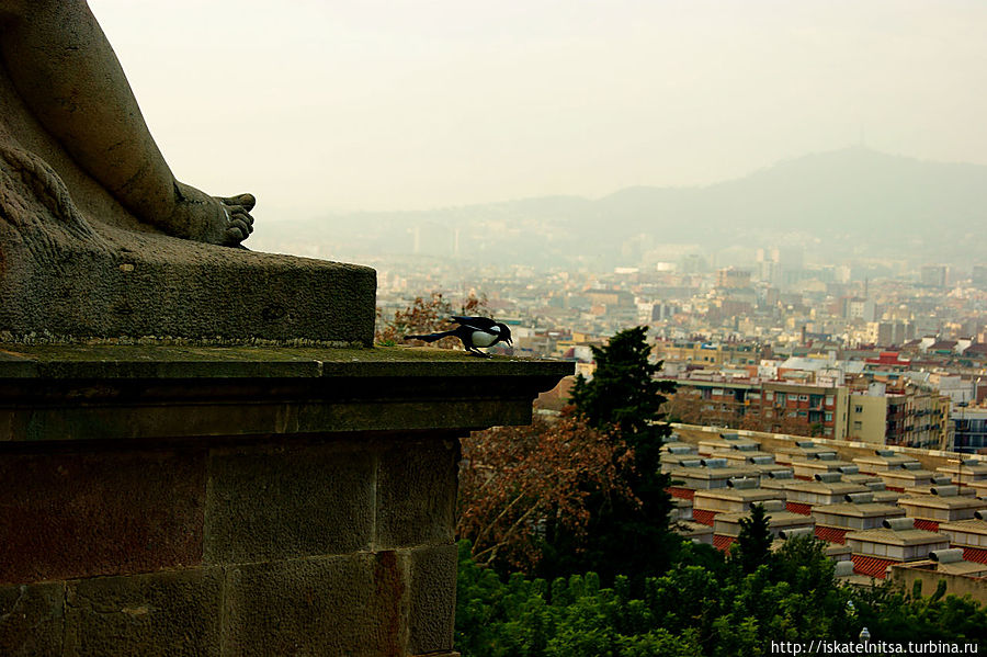 Вид на площадь Испании с Монжуика Барселона, Испания