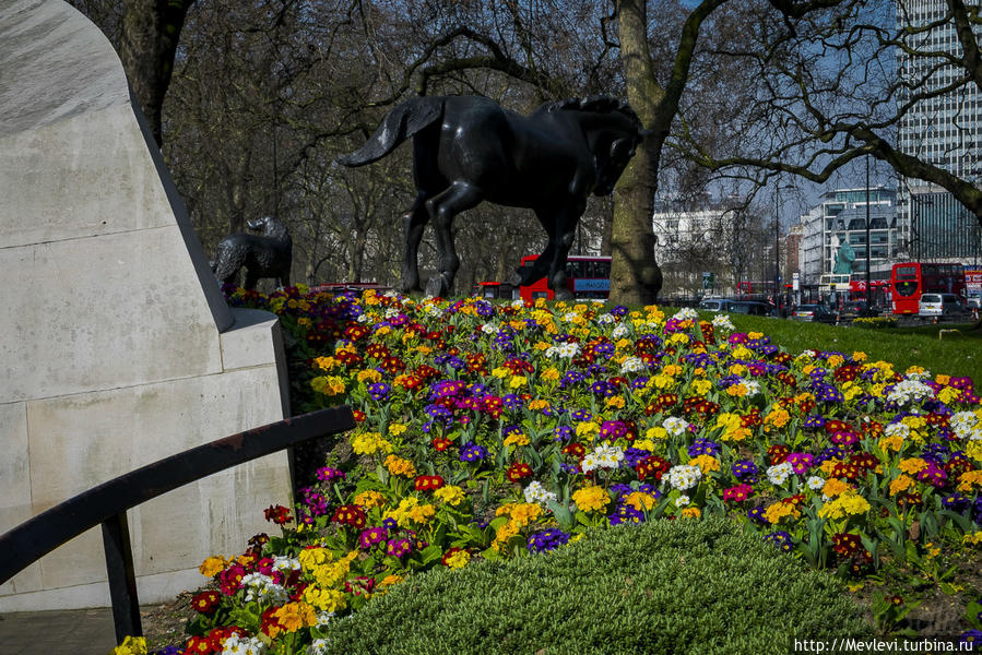 Прогулка по Лондону ( CITY OF WESTMINSTER)  с Fujifilm X-T1 Лондон, Великобритания