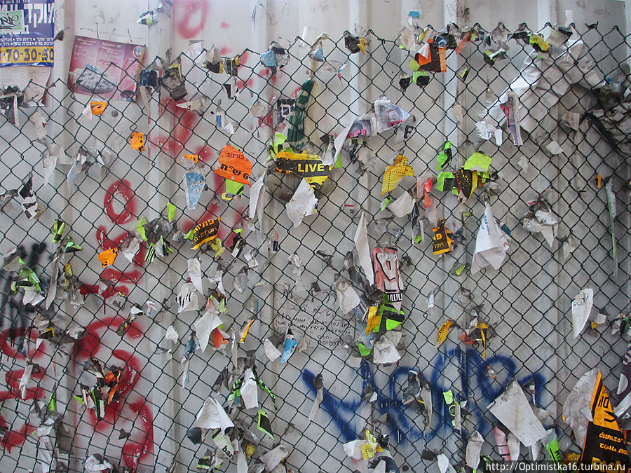 Прогулка по Тель-Авиву с Майей Тель-Авив, Израиль