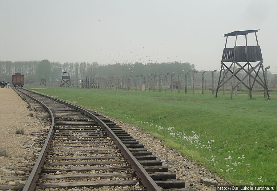 За всю историю Освенцима было совершено около 700 попыток побега, 300 из которых увенчались успехом, однако если кто-нибудь бежал, то всех его родственников арестовывали и отправляли в лагерь, а всех заключённых из его блока убивали Освенцим, Польша
