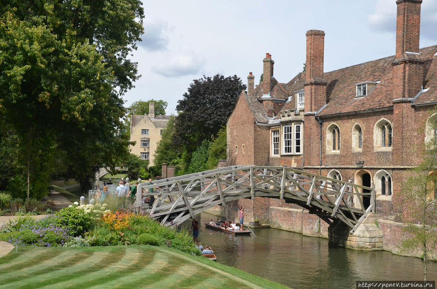 Ancient cambridge. Кембридж-Спрингс 1904. Флора и фауна города Кембридж. Маркиза Кембридж. Molly Maxwell Кембридж.