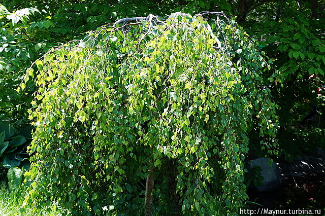 День музея Южно-Сахалинск, Россия