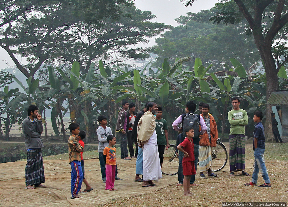 Увидеть тигра и похудеть Сундарбанс Заповедник, Бангладеш