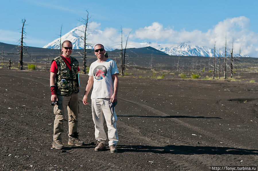 Мертвый лес