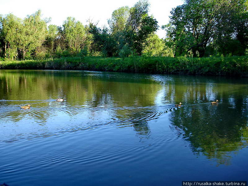 Мертвый Донец — живая вода Недвиговка, Россия