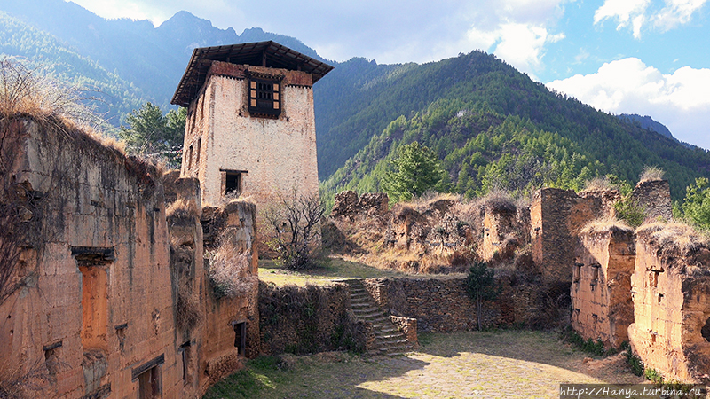 Из интернета