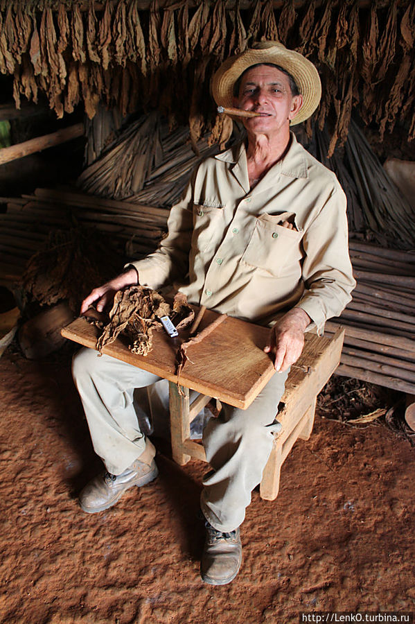 хозяин табачной фабрики Виньялес, Куба