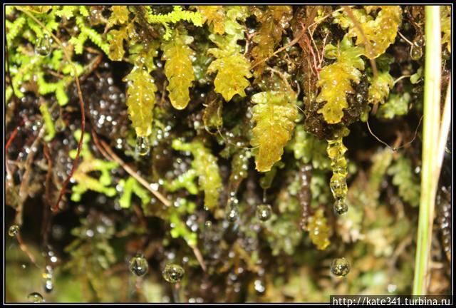Мои путешественные итоги 2013 года