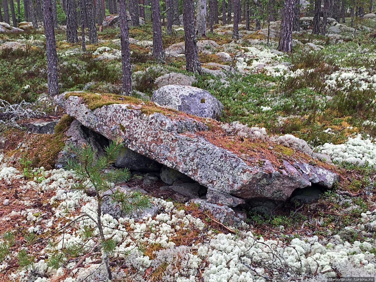 Погребальный комплекс Саммаллахденмяки Саммаллахденмяки (поселение бронзового века), Финляндия