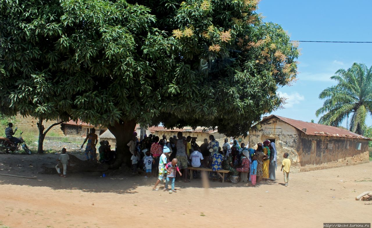 Aledjo-Koura village - примерно так живут на севере Бенина
