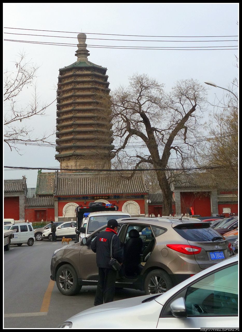 В поисках  Тяньнина Пекин, Китай