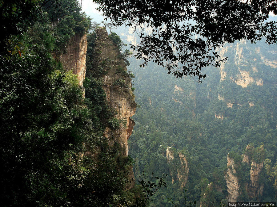 Страж Улиньюаня Чжанцзяцзе Национальный Лесной Парк (Парк Аватар), Китай