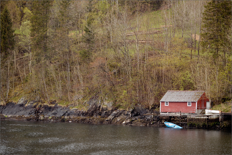 На улице уже шел проливной дождь, потому наружу до конца поездки практически не выходил.