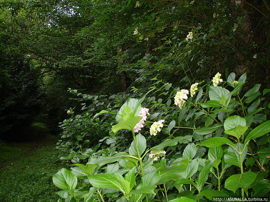 Природа щедро одарила астурийскую землю