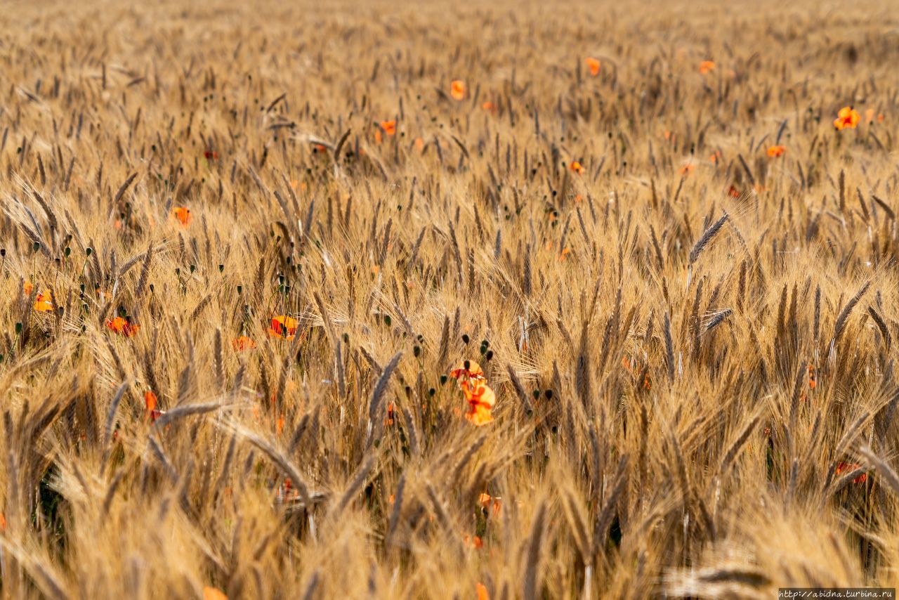 Прованский калейдоскоп Прованс-Альпы-Лазурный берег, Франция