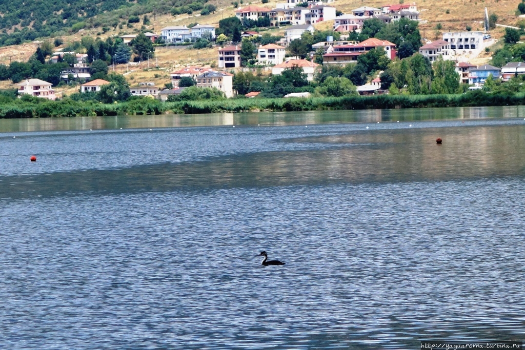 Кому живется весело, вольготно на Ниси. Иоанина, Греция