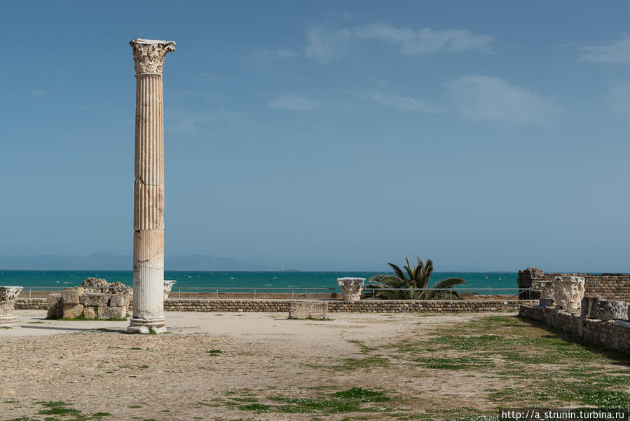 Уроки Карфагена Тунис, Тунис