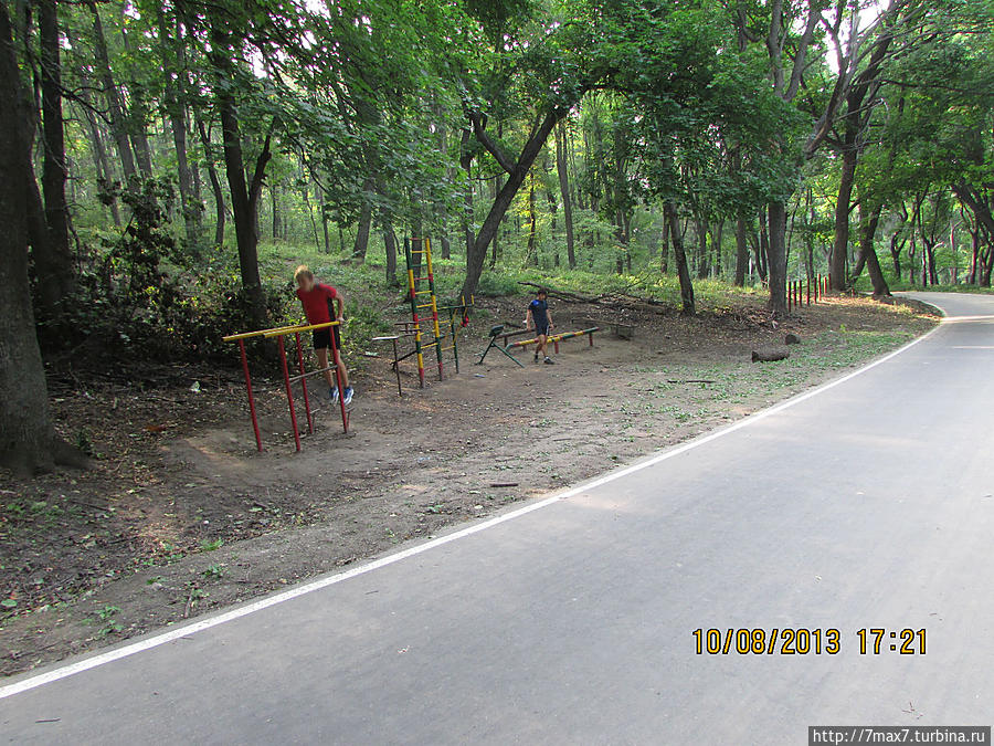 Немного погуляем по лесу Саратов, Россия