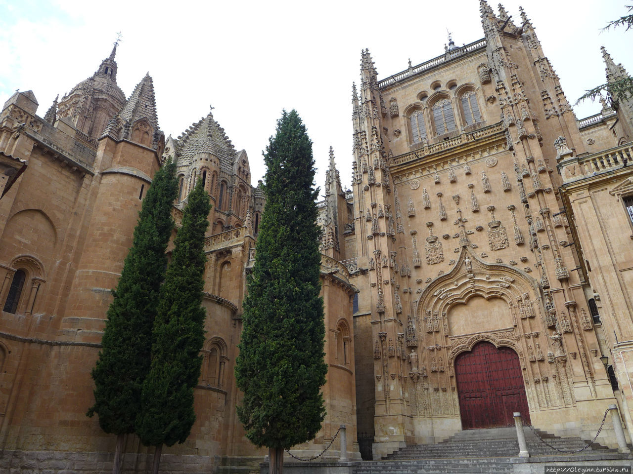 Старый кафедральный собор Саламанка, Испания