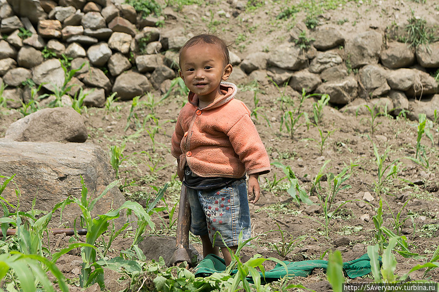 Малыш осваивает сельхозинвентарь Непал