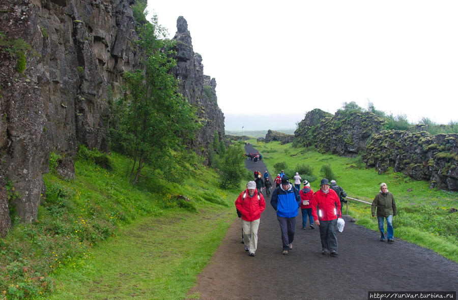 В ущелье Almannagjá (Всеобщее Ущелье) и проходили собрания древних исландцев Рейкьявик, Исландия