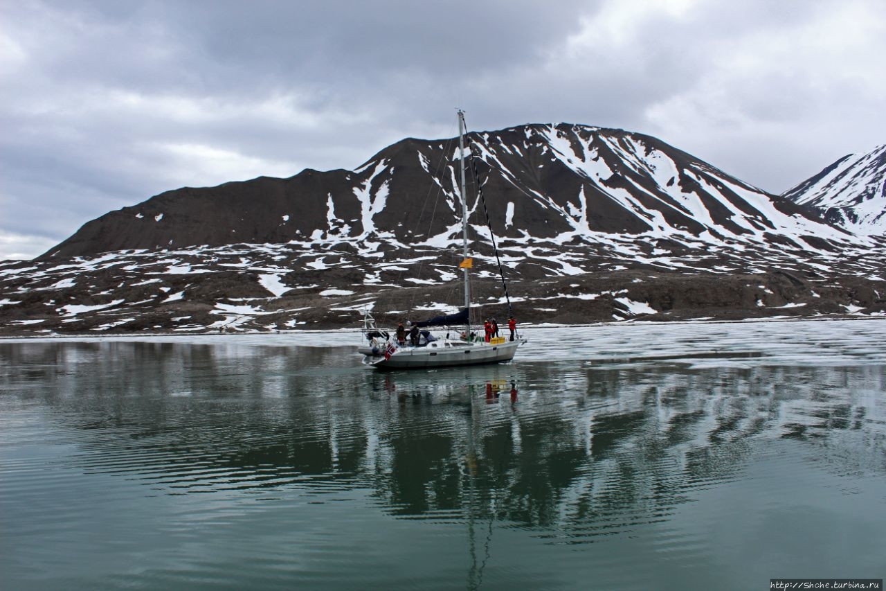 Ван Мийен фьорд / Van Mijenfjorden