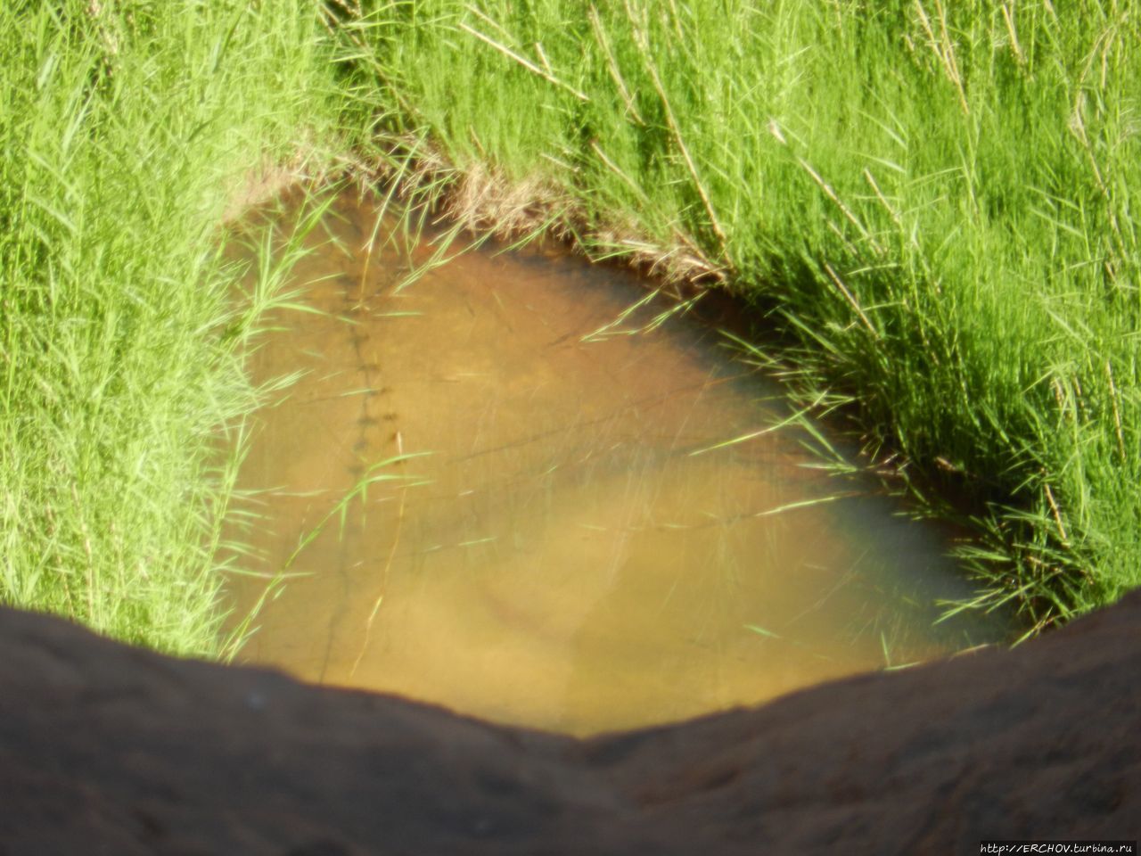 Чад. Ч — 9. Гельта Арчей. Как мы искали крокодилов Горное плато Эннеди, Чад