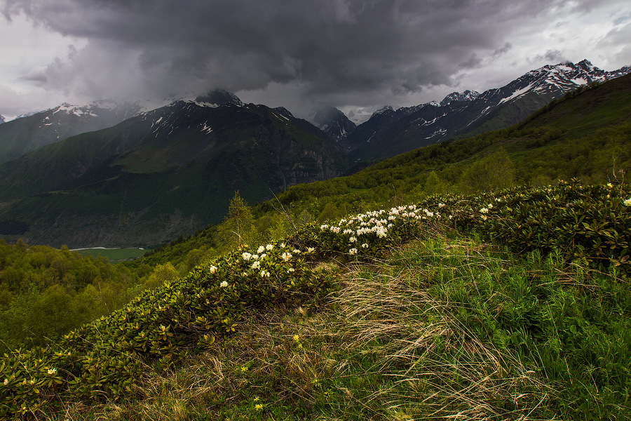 Поднимались достаточно долго — тропа то есть, то нет.. а ближе к вершине еще и дождь начался.. резко похолодало.