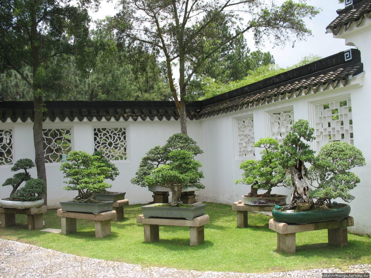 Китайский садик в Сингапуре