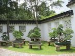 Китайский садик в Сингапуре