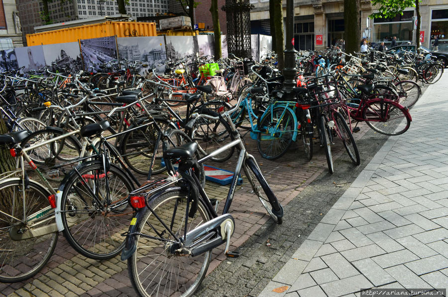 Велосипедное собрание Амстердам, Нидерланды