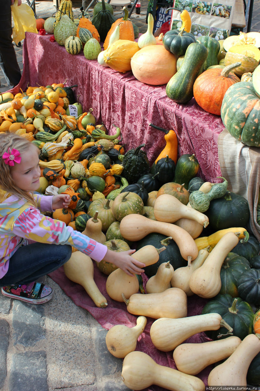 Осенняя Рига Рига, Латвия