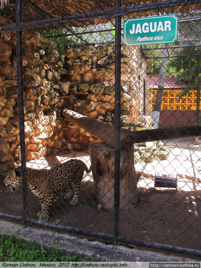 Бесплатный зоопарк Мериды Мерида, Мексика