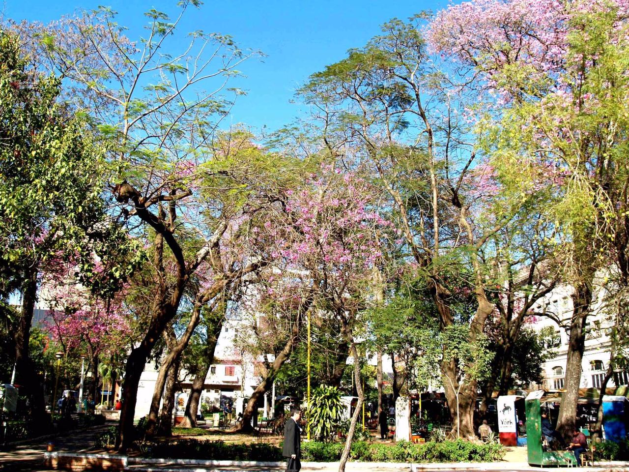 Площадь Демократии Асунсьон, Парагвай