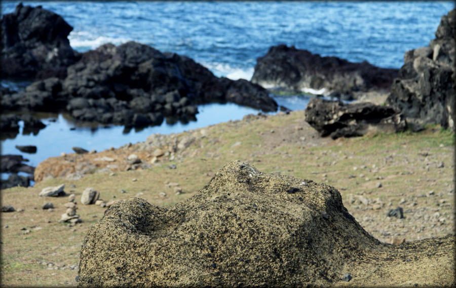 Достопримечательности острова Пасхи (AKAHANGA) Остров Пасхи, Чили