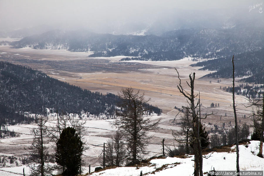 21 января
Семинский перевал. Где-то там слева в зарослях прячется Теньгинское озеро Республика Алтай, Россия